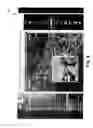 Fig. 08 - Live panoramic image capture and distribution