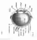 Fig. 02 - Method and system to detect ophthalmic tissue structure and pathologies