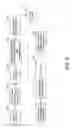 Fig. 06 - Motion blur-free capture of low light high dynamic range images
