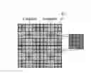 Fig. 01 - Color imaging apparatus having color imaging element