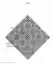 Fig. 07 - Color imaging apparatus having color imaging element
