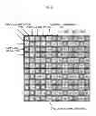 Fig. 04 - Color imaging element and imaging apparatus