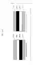 Fig. 331 - Information communication method for obtaining information by demodulating bright line pattern included in image
