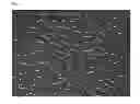 Fig. 04 - LIQUID CRYSTAL COMPOSITION