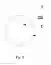 Fig. 03 - Diagnostic detection device