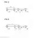 Fig. 06 - Torsional support for binocular display