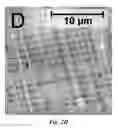 Fig. 08 - All-nanoparticle concave diffraction grating fabricated by self-assembly onto magnetically-recorded templates