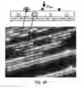 Fig. 11 - All-nanoparticle concave diffraction grating fabricated by self-assembly onto magnetically-recorded templates