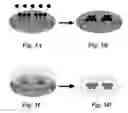 Fig. 12 - All-nanoparticle concave diffraction grating fabricated by self-assembly onto magnetically-recorded templates
