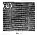 Fig. 13 - All-nanoparticle concave diffraction grating fabricated by self-assembly onto magnetically-recorded templates