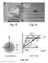 Fig. 14 - All-nanoparticle concave diffraction grating fabricated by self-assembly onto magnetically-recorded templates