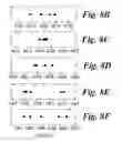 Fig. 19 - All-nanoparticle concave diffraction grating fabricated by self-assembly onto magnetically-recorded templates