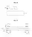 Fig. 07 - Display apparatus
