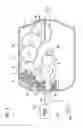 Fig. 09 - VEHICLE LAMP