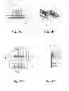 Fig. 05 - Light module for lighting equipment of a motor vehicle
