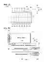 Fig. 02 - Display device, electronic apparatus and lighting device