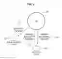 Fig. 02 - Method and apparatus for reducing wireless traffic by controlling management frame in wireless local area network (WLAN)