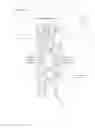 Fig. 03 - Network traffic load balancing
