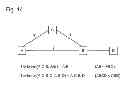Fig. 11 - TIE-BREAKING IN SHORTEST PATH DETERMINATION