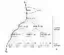 Fig. 01 - Apparatus and method for optimizing data-path in mobile communication network