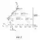 Fig. 06 - Apparatus and method for optimizing data-path in mobile communication network