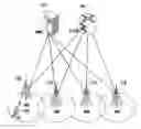Fig. 01 - Random access method and apparatus of UE in mobile communication system