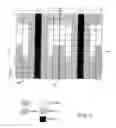Fig. 07 - System and method for uplink control information transmission in carrier aggregation