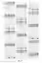 Fig. 11 - METHOD FOR LINKAGE RESOURCE ASSIGNMENT, UE, METHOD FOR MULTIPLEXING TRANSMISSION AND ENB