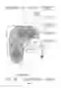 Fig. 02 - Managed handover process