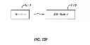 Fig. 22 - Universal Platform Module for a Plurality of Communication Protocols