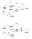Fig. 76 - Universal Platform Module for a Plurality of Communication Protocols