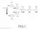 Fig. 08 - Apparatus and method for generating key hierarchy in wireless network