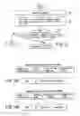 Fig. 09 - Communication system, wireless communication apparatus, and communication method