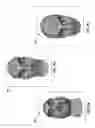Fig. 09 - Facial recognition