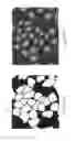 Fig. 09 - Teachable object contour mapping for biology image region partition