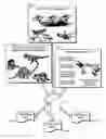 Fig. 01 - Systems and methods for quantifying graphics or text in an image