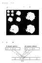Fig. 08 - Image processing apparatus and image processing method
