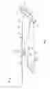Fig. 02 - BEARING FOR ROTOR BLADE