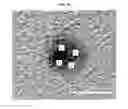 Fig. 49 - Solid metal alloy