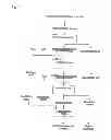 Fig. 02 - Method for producing nickel-containing acid solution
