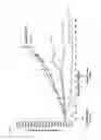 Fig. 17 - Antibody drug conjugates