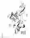 Fig. 30 - Antibody drug conjugates