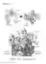 Fig. 32 - Antibody drug conjugates