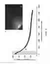 Fig. 07 - OPEN MICROFLUIDIC DEVICES FOR CHEMOTAXIS, METHODS OF USING SAME, AND APPLICATIONS OF SAME