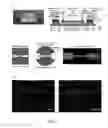 Fig. 09 - OPEN MICROFLUIDIC DEVICES FOR CHEMOTAXIS, METHODS OF USING SAME, AND APPLICATIONS OF SAME