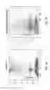 Fig. 02 - Immunomodulating compositions and methods of use thereof