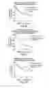 Fig. 13 - CHIMERIC CYTOKINE FORMULATIONS FOR OCULAR DELIVERY