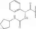 Fig. 134 - Hepatitis C virus inhibitors