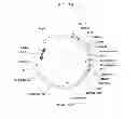 Fig. 07 - Vectors conditionally expressing protein