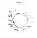 Fig. 08 - Vectors conditionally expressing protein